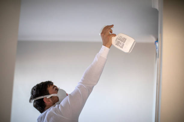 Best Attic Mold Remediation in Godley, TX